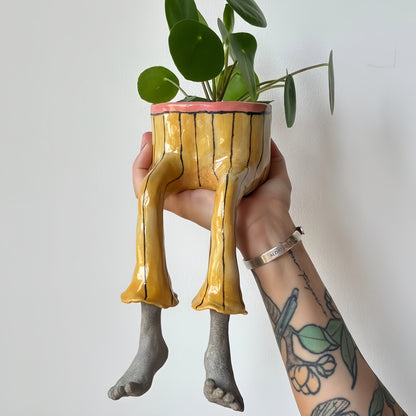 🪴✨Creative Sitting Planter Collection